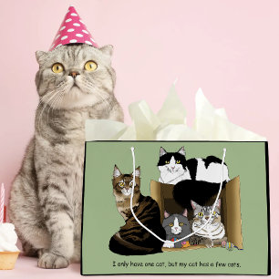 Huishoudens met Meerdere Katten Groen Grappig Groot Cadeauzakje