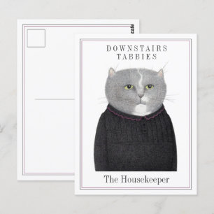 HUISHOUDSTER KAT BRIEFKAART
