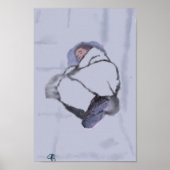 Huisloze in Toronto Poster (Voorkant)