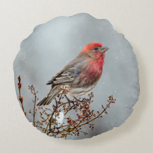 Huismus in Sneeuw - Originele Foto Rond Kussen