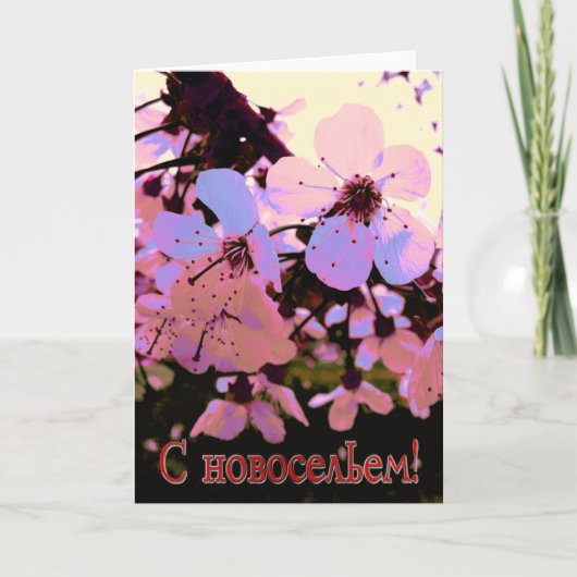 Huisopwarming Russische Kaart met Cherry Flowers (Voorkant)