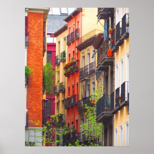 Huisvesting in Madrid Poster (Voorkant)