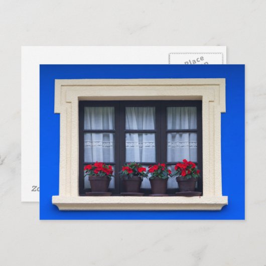 Huisvesting met bloemen in ramen briefkaart (Voorkant / Achterkant)