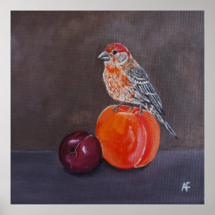 Huisvink's Middagrust Schilderij van Alfred Fox Poster