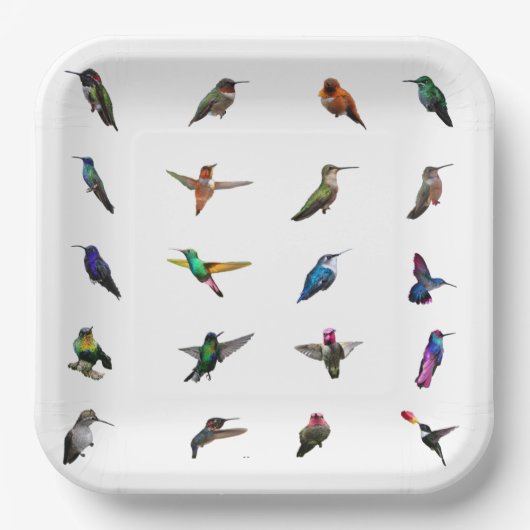 Huisvogels borden met achtergrondpapier papieren bordje (Voorkant)