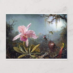 Huisvogelschilderij, orchidee, tropisch bosschilde briefkaart