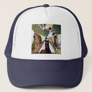 Huit Triangles Cheval, Casquette de camions
