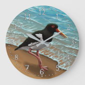 Huîtrier pie horloge (Recto)
