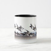 Huîtriers de alimentation tasse (Centre)