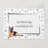 Hulde aan Duitse Herdershond bij Overlijden Huisdi Briefkaart (Voorkant)