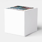 Hullen van boten en marmarineswinterseascape bedankdoosjes (Achterkant)