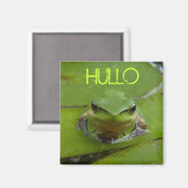 HULLO MAGNEET (Voorkant / Achterkant)
