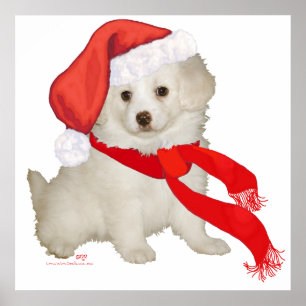 Hulpje van de Kerstman Puppy Poodle / Bichon Mix Poster