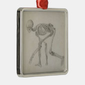 Humaan skelet: Lateraal uitzicht in Crouching Post Metalen Ornament (Rechts)