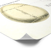 Humaan Skeletanatomie Poster (Hoek)