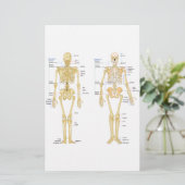 Humaan Skeleton met anatomiediagram Briefpapier (Staand voorkant)