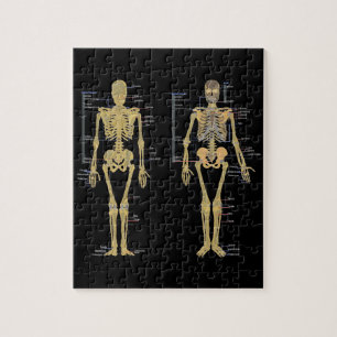 Humaan Skeleton met anatomiediagram Legpuzzel