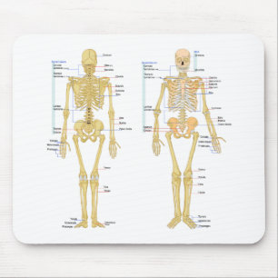 Humaan Skeleton met anatomiediagram Muismat