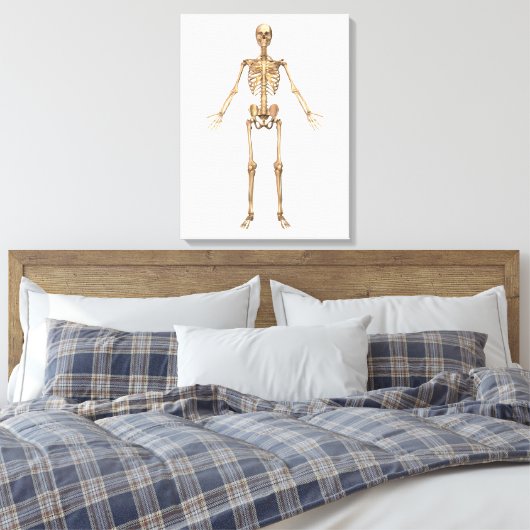 Humaan Skeletsysteem, voorste Uitzicht Canvas Afdruk (Insitu (Slaapkamer))