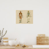 Humaan Spier Skelton Anatomie  Grafiek Poster (Keuken)