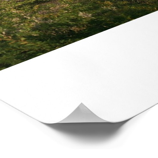 Humahuaca #3 poster (Hoek)