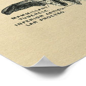 Humain Lumbar Vertebrae Anatomie 1902 Impression V (Coin)