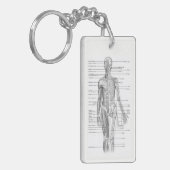Human Anatomy AP101 Educational Diagram Sleutelhan Sleutelhanger (Voorkant Links)
