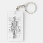 Human Anatomy AP101 Educational Diagram Sleutelhan Sleutelhanger (achterkant)