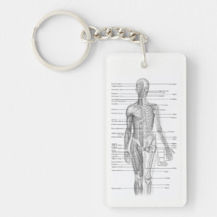 Human Anatomy AP101 Educational Diagram Sleutelhan Sleutelhanger