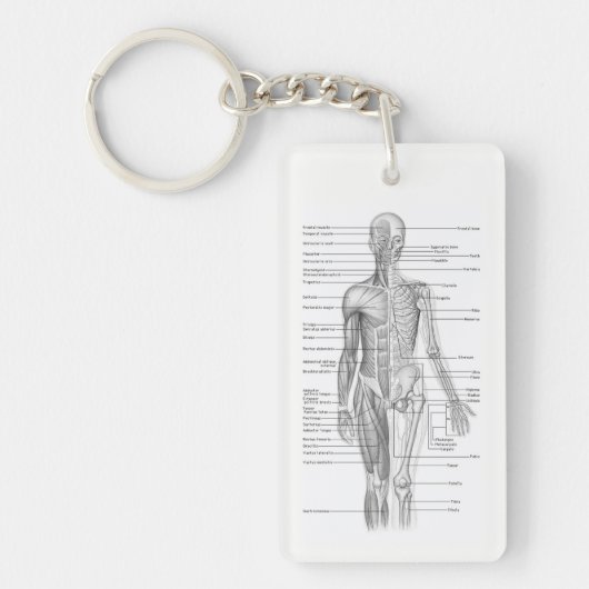 Human Anatomy AP101 Educational Diagram Sleutelhan Sleutelhanger (Voorkant)