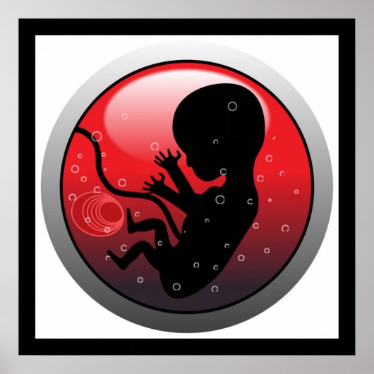 HUMAN BABY EMBRYO POSTER (Voorkant)