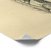 Human Back Muscles Anatomy 1902 Print (Hoek)