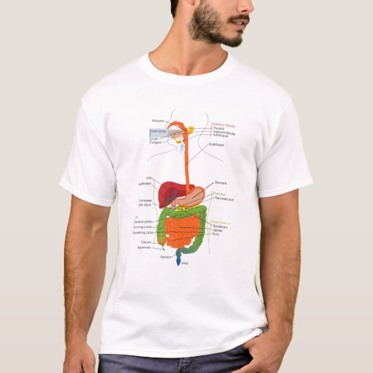 Human Body Digestive System Gastrointestinal Tract T-shirt (Voorkant)