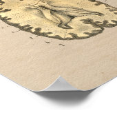 Human Brain Anatomy 1841 Print (Hoek)