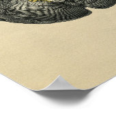 Human Brain Anatomy 1902  Print (Hoek)