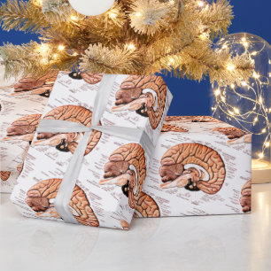 Human Brain Anatomy Medical Diagram Novelty Cadeaupapier