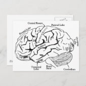 Human Brain Briefkaart (Voorkant / Achterkant)