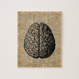 Human Brain Illustratie Dictionary Art Legpuzzel
