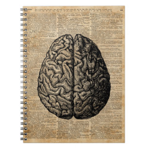 Human Brain  Illustratie Dictionary Art Notitieboek