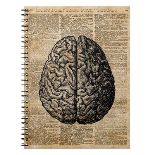 Human Brain  Illustratie Dictionary Art Notitieboek (Voorkant)