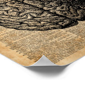 Human Brain  Illustratie Dictionary Art Poster (Hoek)