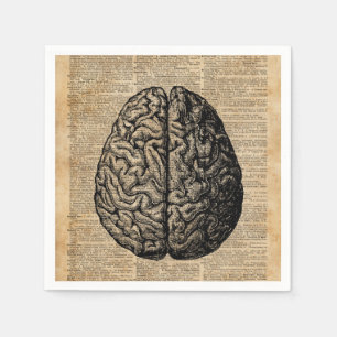 Human Brain  Illustratie Dictionary Art Servet