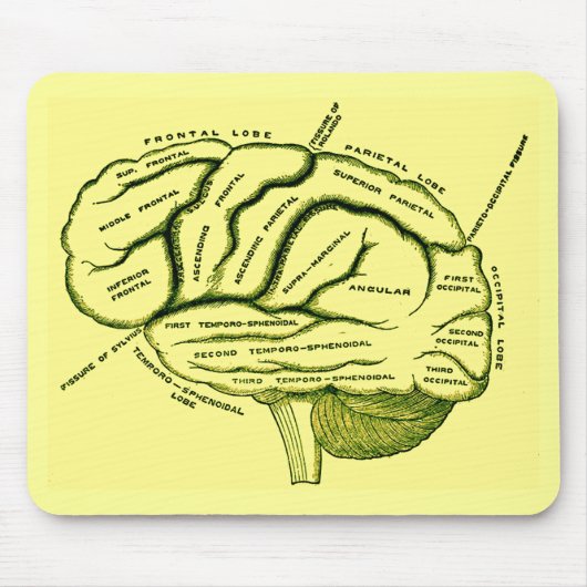 Human Brain Muismat (Voorkant)