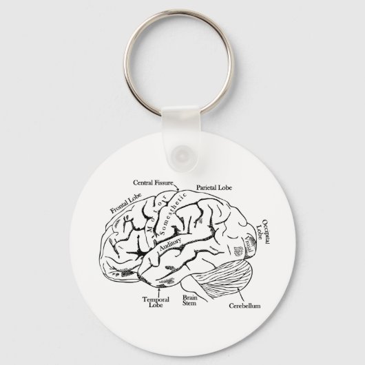 Human Brain Sleutelhanger (Voorkant)