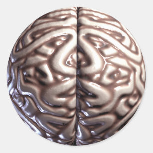 Human Brain Stickers
