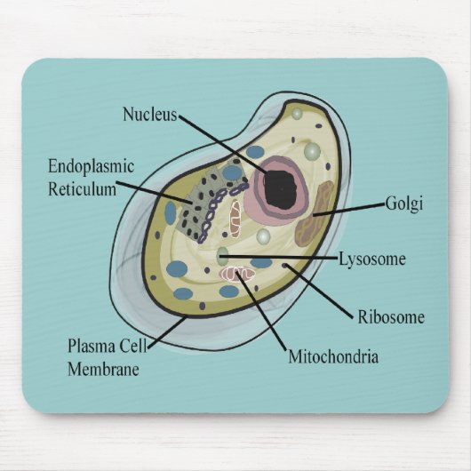 Human Cell Biology T-Hemden Muismat (Voorkant)