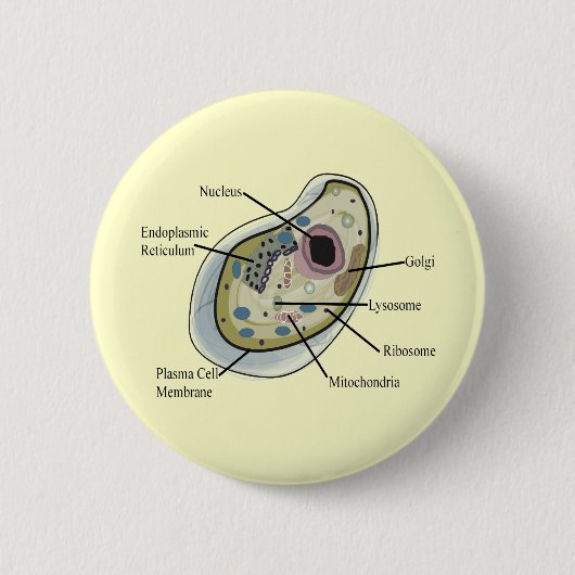 Human Cell Biology T-Hemden Ronde Button 5,7 Cm (Voorkant)