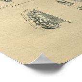 Human Dental Anatomy 1902  Print (Hoek)