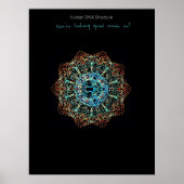 Human DNA Poster (Devant)