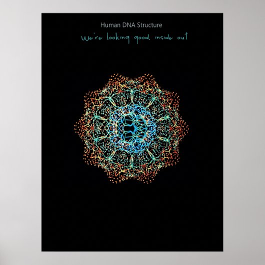 Human DNA Poster (Devant)
